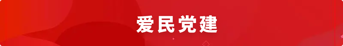 愛(ài)民黨建